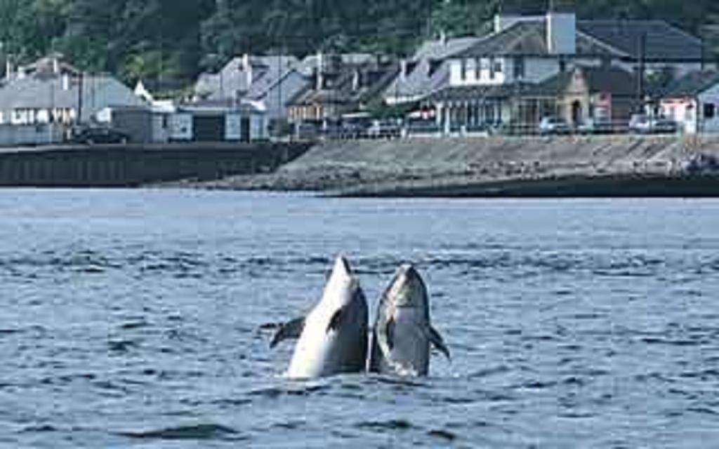 North Kessock Hotel Inverness Exterior foto